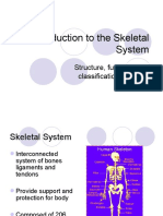 The Skeletal System (Whole)2