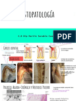 Repaso Histopatologia-1-1