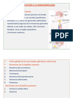 Fisiologia 3