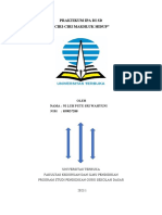 TUGAS PRAKTIKUM IPA KP 1 Sriwahyuni Fix