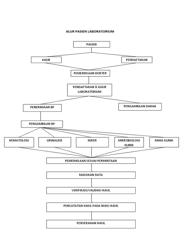 Alur Pasien Lab | PDF