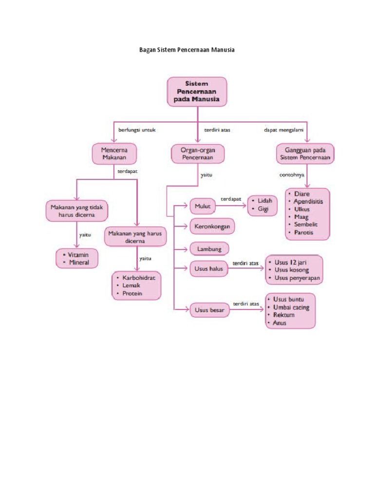 Bagan Sistem Pencernaan Manusia | PDF