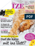 Geliebte Katze - 2020-07