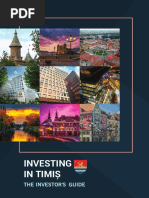 Timisoara Investment Guide