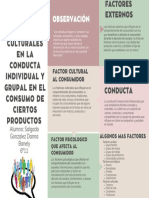 LOS Factores SociALES y Culturales en La Conducta Individual y Grupal