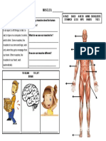 Reading Comprehension - Muscles