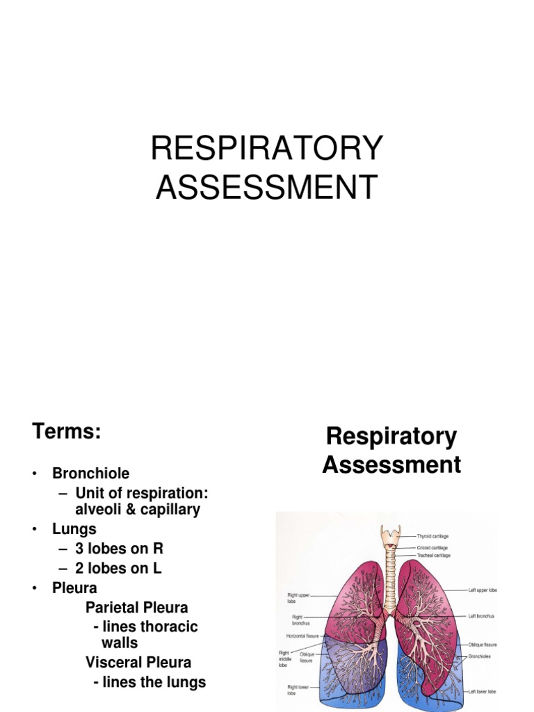 Respiratory Assessment Techniques | PDF | Respiratory System | Breathing