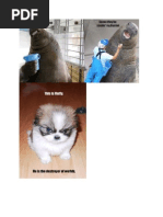 Download Jokesamazing jokes by Cree SN66126 doc pdf