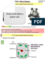 Plant Organs