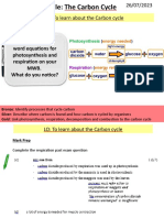 The Carbon Cycle Higher - Advanced