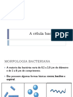 A C Lula Bacteriana