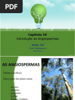 Aula 10 - Introdução às Angiospermas