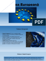 Uniunea Europeană: Țoncu Nicoleta