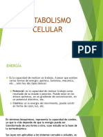 Metabolismo Celular