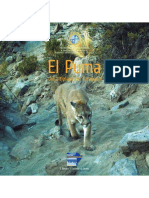 El Puma Del Altiplano de Tarapacá 2015