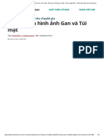 Xét nghiệm hình ảnh Gan và Túi mật - Rối loạn về hệ gan và mật - Cẩm nang MSD - Phiên bản dành cho chuyên gia