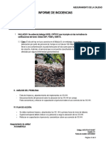 Informe de Incidencia N 005