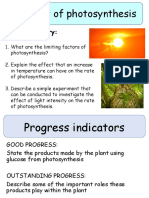 Products of Photosynthesis: Do Now Activity