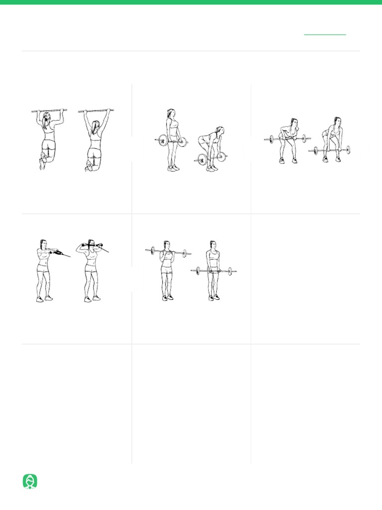 Back & Biceps Workout Guide | PDF