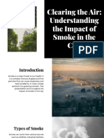Clearing The Air Understanding The Impact of Smoke in The City 20230726152733mrRT