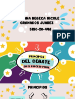 Principios Del Debate Dentro Del Proceso Penal