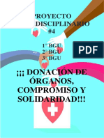 Proyecto Interdisciplinario 4