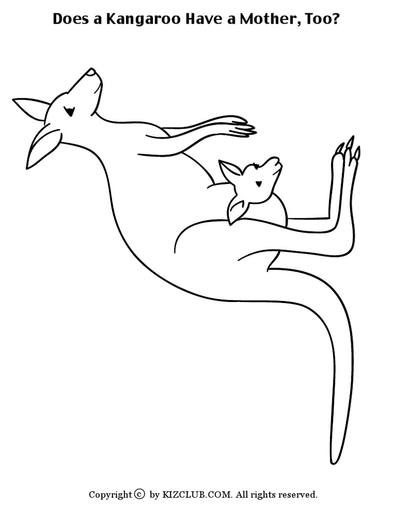 Kangaroo | PDF