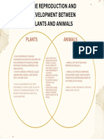  Modern Venn Diagram Plant and Animals 