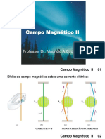 Campo Magnetico 2