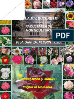 Cunoasterea Si Cultura Florilor in Romania