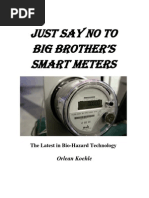 Just Say No to Big Brother's Smart Meters