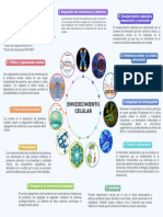 Esquema Pab Grupo 2