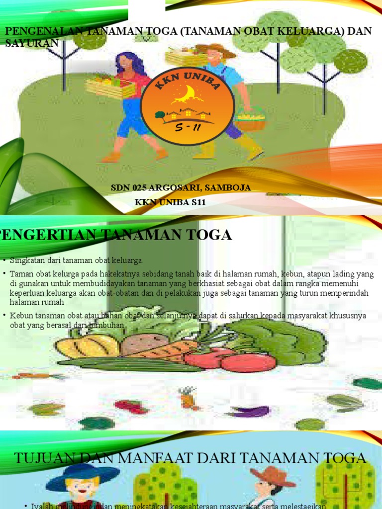 Pengenalan Tanaman Toga Tanaman Obat Keluarga Pdf