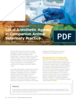 TVP-2023-0506 Local Anesthetic Agents
