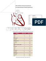 Cardiac Chambers and Great Vessels Pressure