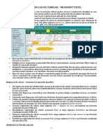 suport_de_curs_Excel.docx