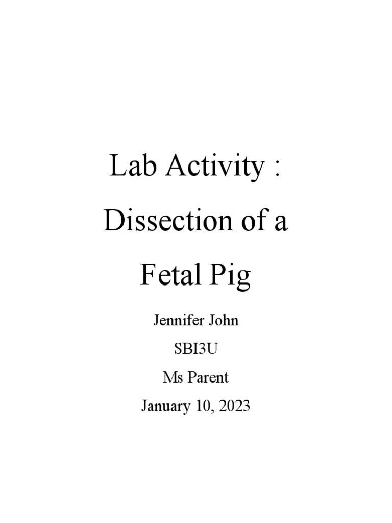 Fetal Pig Dissection Lab Guide | PDF | Aorta | Common Carotid Artery