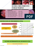 Seminario Rci