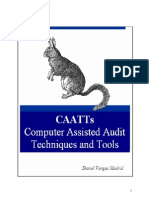 Computer Assisted Audit Techniques Tools