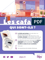 Cafards PDF