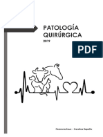Resumen Pato Quirúrgica