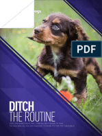 DitchTheRoutine v02