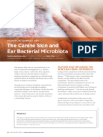 TVP-2023-0506 Canine Ear Microbiota