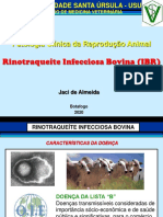 16 - Rinotraqueíte Infecciosa Bovina (IBR)