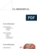 Aorta Abdominal