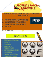 Elementos de La Protesis Removible