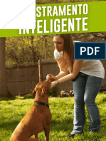 Bonus01 - Adestramento Inteligente