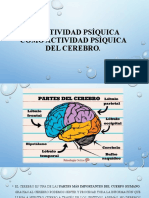 La Actividad Psíquica Como Actividad Psíquica Del Cerebro