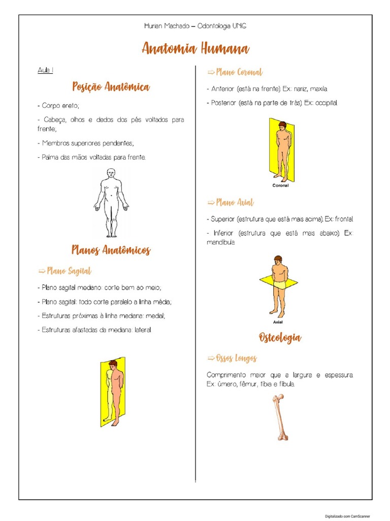 ANATOMIA PDF visual data 6