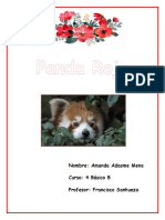 Panda Rojo